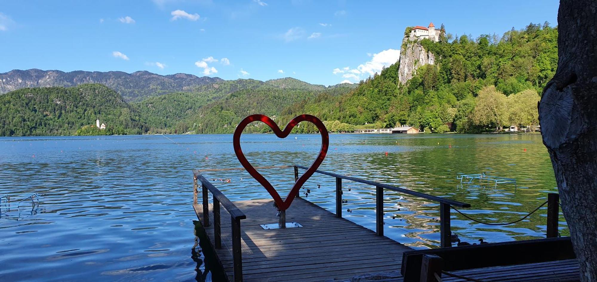 Apartma Jezerci Appartement Bled Kamer foto